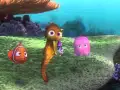 buscando-a-nemo
