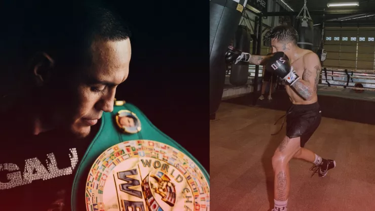 gallo estrada bam rodriguez pelea box