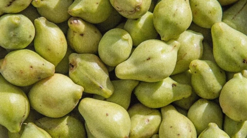 El alimento ex&oacute;tico con 100 veces m&aacute;s vitamina C que la naranja que es casi ‘m&aacute;gico’ en tu piel 