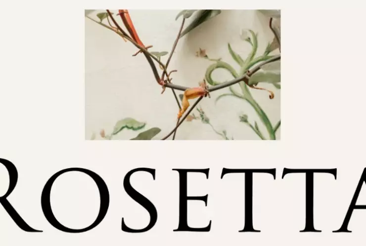 RESTAURANTE ROSETTA.jpeg