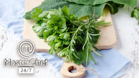 MasterChef conservar hierbas Zahie.jpg
