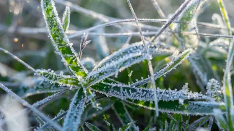 Conagua advierte heladas de hasta -5°C en México
