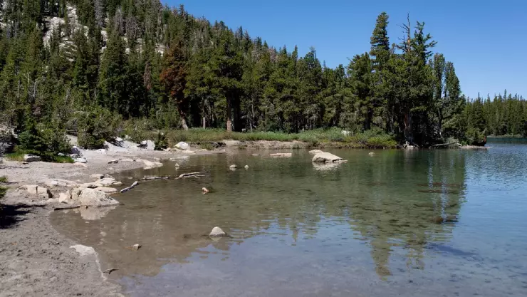 una imagen del lago McLeod en Stockton, California