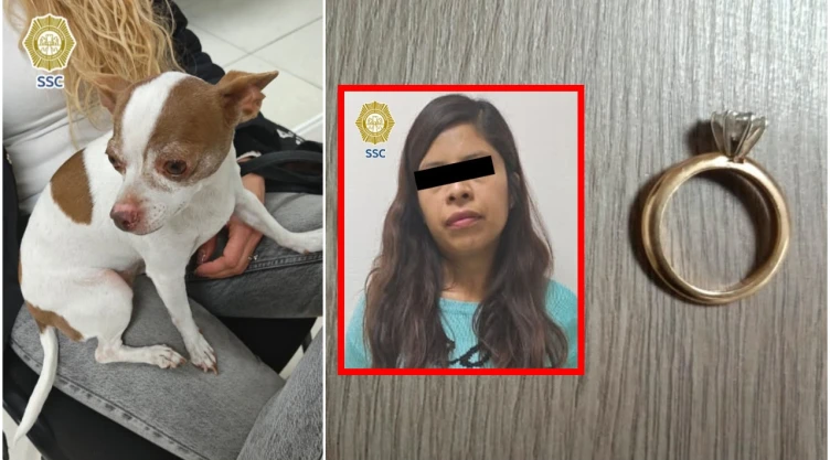 Rescatan a perrito Chihuahua secuestrado en CDMX por mujer.
