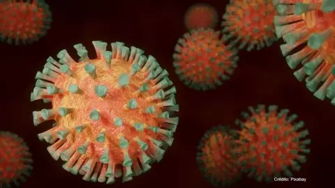 coronavirus.jpg