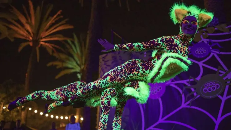 SAN DIEGO ZOO ENTRADA GRATIS 2024