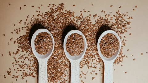 alimentos probióticos prebióticos salud intestinal