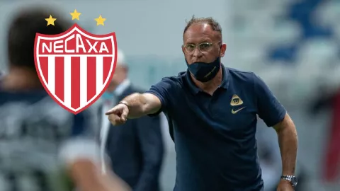 andres lillini entrenador necaxa