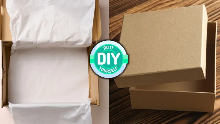 /estilo-de-vida/manualidades-cajas-tenis-viejos-reutilizarlas-cama-gatos/
