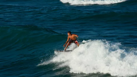 Tamaulipas destino perfecto