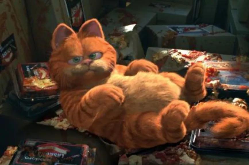 026 Garfield.jpg