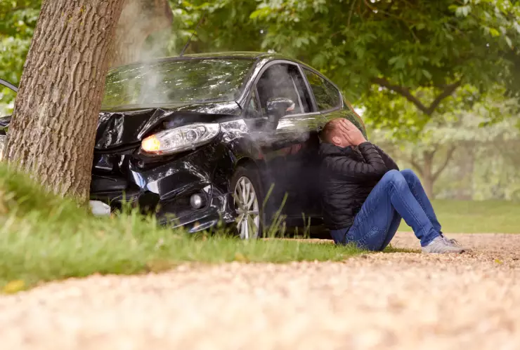 CHOQUE CHIHUAHUA 2.jpg