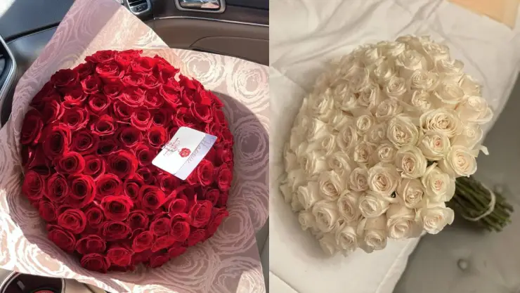 san valentín 2025 en veracruz.