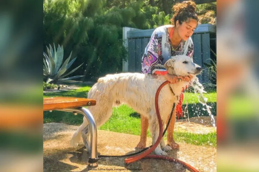 Famosos con un Hachiko en su vida (3).jpg
