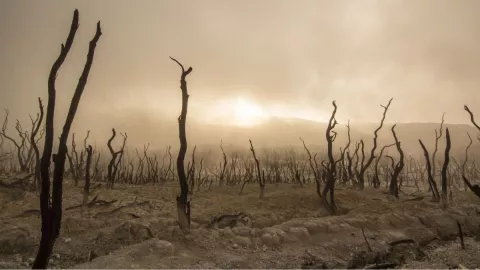 Cero emisiones, Dióxido de carbono, Cambio climático.jpg