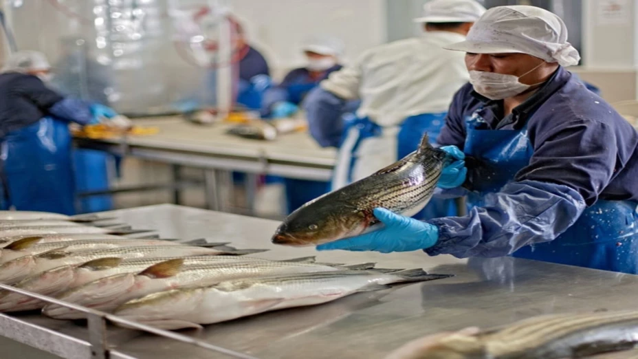 COMEPESCA a través #PescaConFuturo presenta la 4ta edición del Summit Latinoamericano.jpg