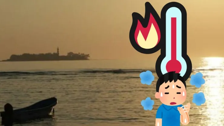 Surada Veracruz