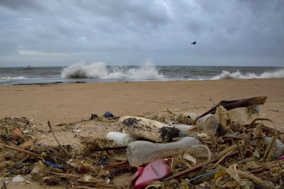 Basura