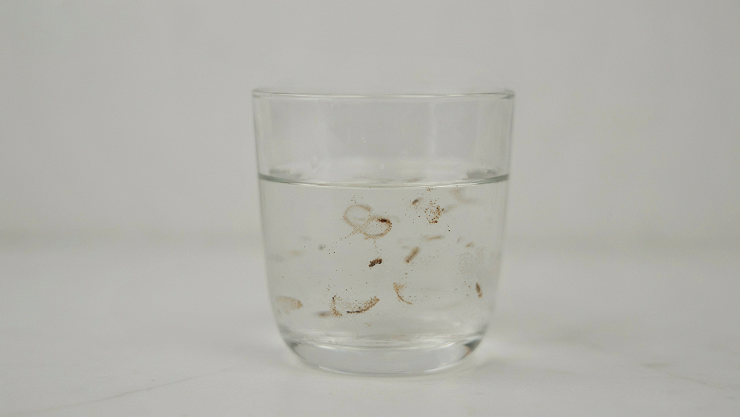 Agua con bacteria en México- E.Coli