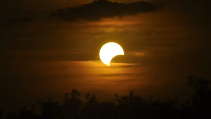 eclipse sola abril 8 como cuidar a tu perro.jpg