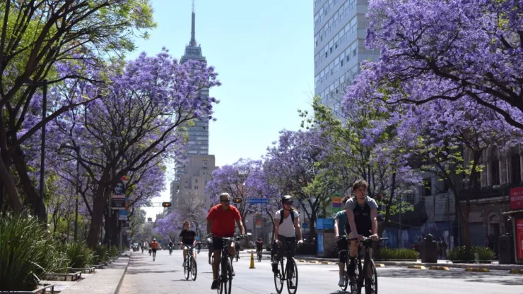 ¡Evita las multas! Estas bicicletas deben tramitar sus placas en CDMX durante 2024