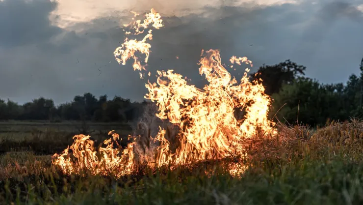 incendios forestales méxico