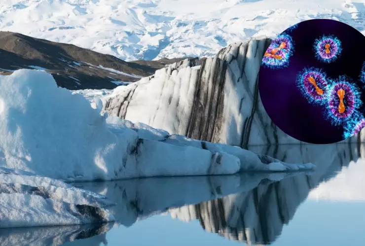 Hallan más de mil virus ‘zombies’ congelados en una montaña