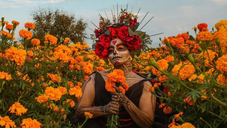 Estos son los campos de cempasúchil en Jalisco para visitar por Día de Muertos
