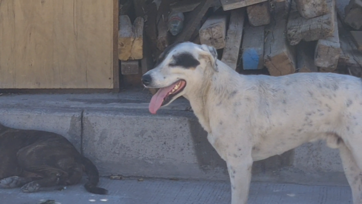 Cerro de la Cruz.png