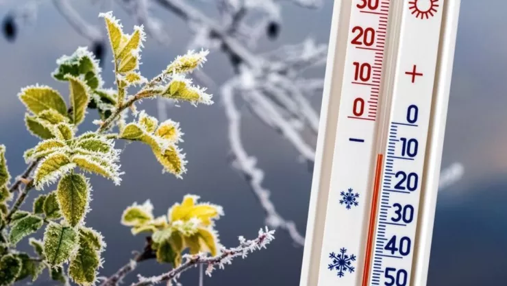 Frentes Fríos en Baja California provocarán bajas temperaturas del 7 al 10 de noviembre de 2024