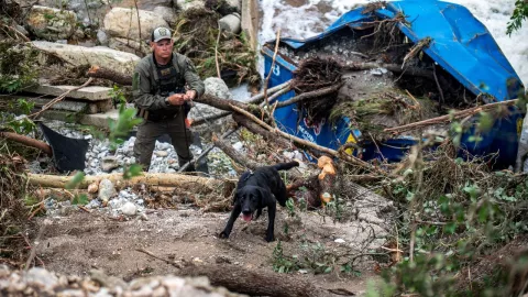 Un perro de búsqueda trabaja en Camp Mystic después de las inundaciones mortales en el condado de Kerr, Texas.