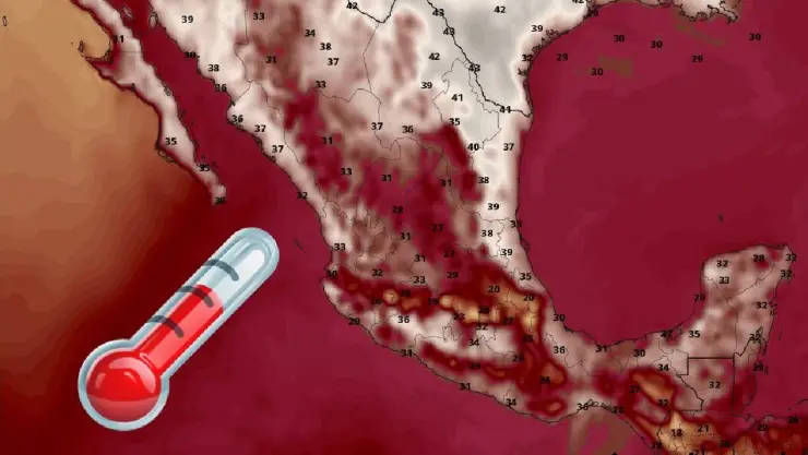Cuarta ola de calor en México_ ¿Cuáles son sus consecuencias y cómo evitarlas?