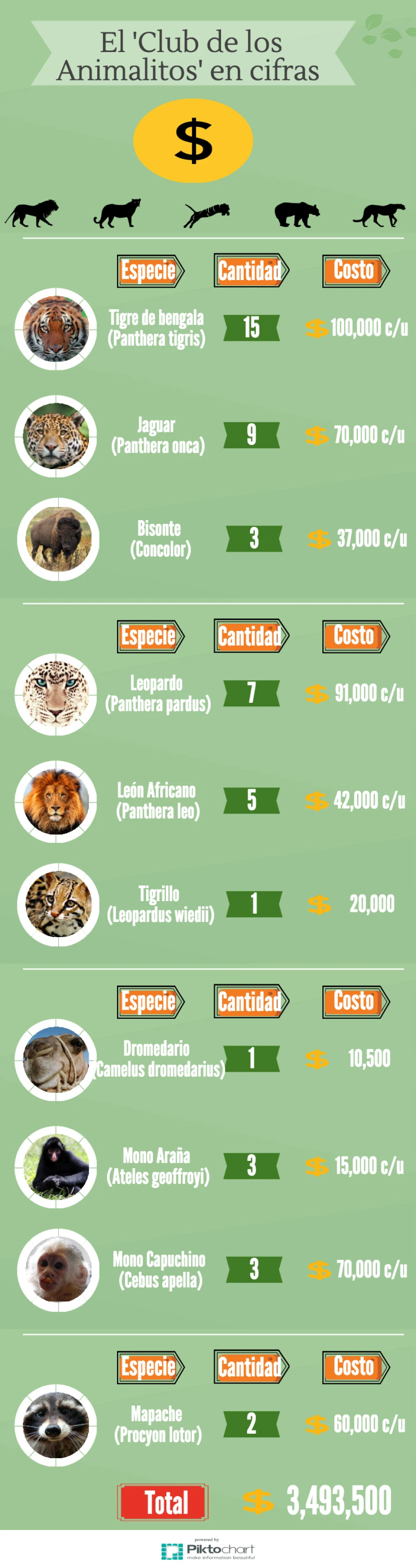 animalitos3mar.png