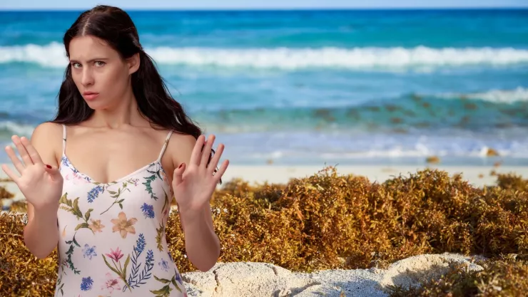 Las 2 playas en Quintana Roo donde NO hay sargazo… pero casi nadie visita o no las conocen.