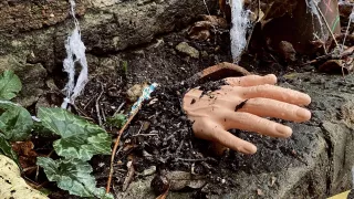 joven vivió con cadáveres asesino del necaxa.jpg
