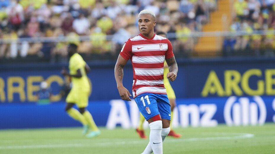 Darwin Machís
