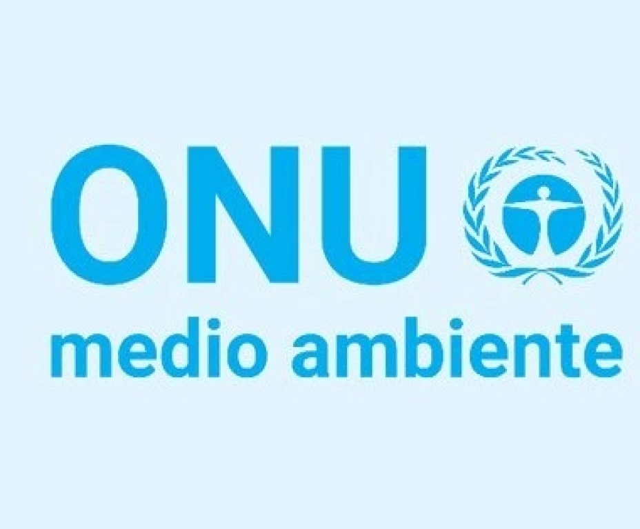 ONU MEDIO AMBIENTE