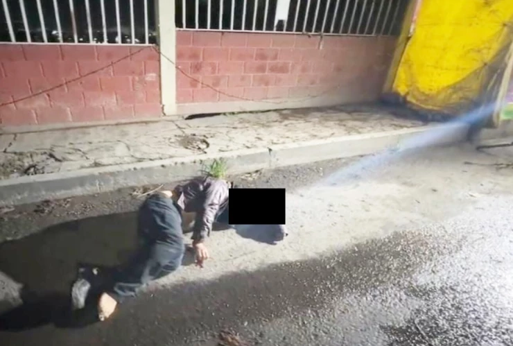 atropellado sanctorum