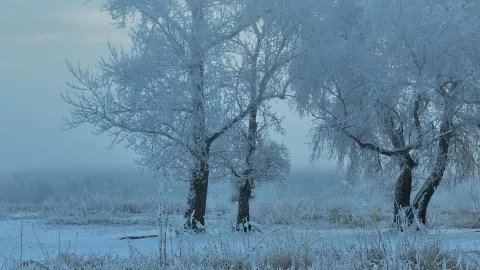 Alertan por clima frío en Zacatecas los próximos días; ¿cuál será la temperatura mínima