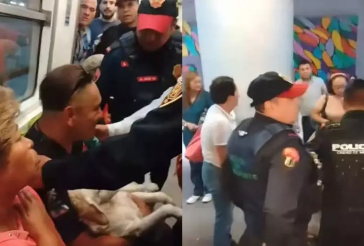 Policías sacan del metro a usuario con perrito herido