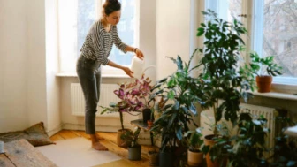 Qué significa que tengas muchas plantas en tu casa, según la psicología