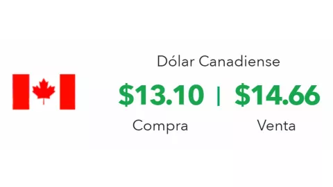 Precio del dólar en México hoy 28 de noviembre 2024; así cotiza en ThanksgivingP