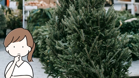 árbol de navidad (2).png