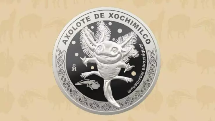Moneda del ajolote: ¿Cuánto cuesta y dónde comprar la valiosa moneda?