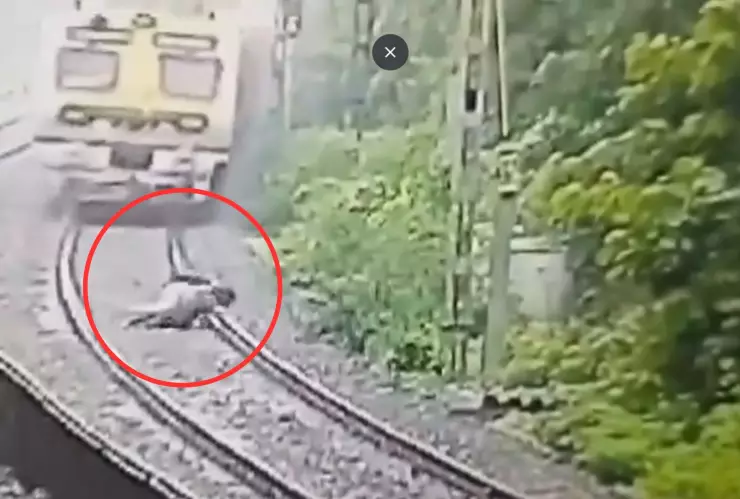 padre e hijo se suicidaron en india.jpg