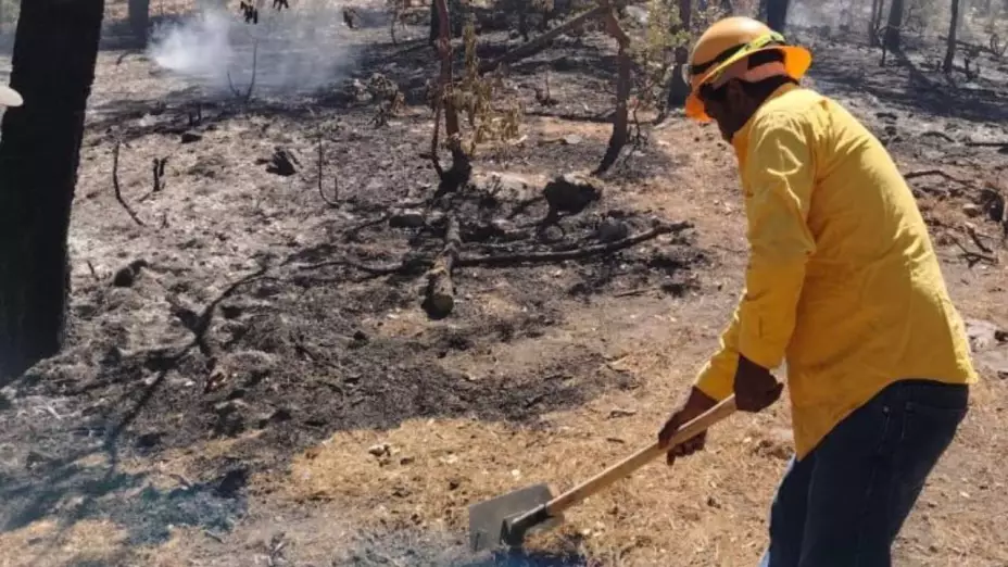 Incendios forestales en Chihuahua