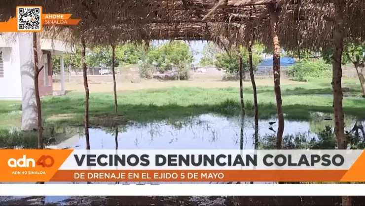 Problemas de drenaje en el Ejido 5 de Mayo en Ahome.jpg