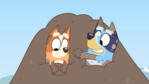 Bluey - Tierra