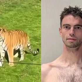 William Chapman fue atacado por un tigre en el Yorkshire Wildlife Park
