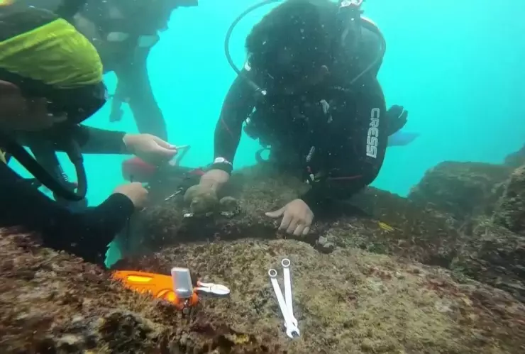 Ecuador intenta replantación de coral en las Galápagos para restaurar ecosistema.